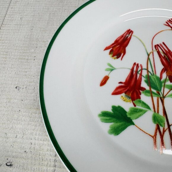 National Wildlife Federation AMERICAN WILDFLOWERS Flower Salad Plates Set of 2 - Picture 10 of 13